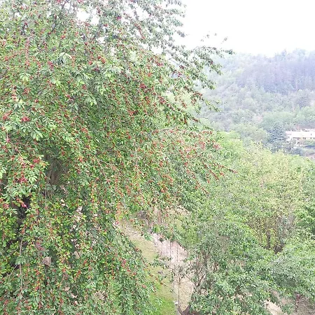 La Contea 4*