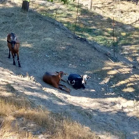 La Contea Bed & Breakfast Acqui Terme