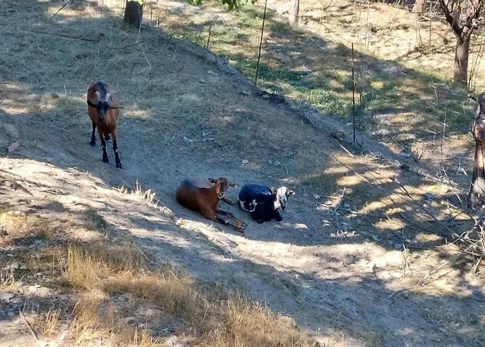 La Contea Bed & Breakfast Acqui Terme